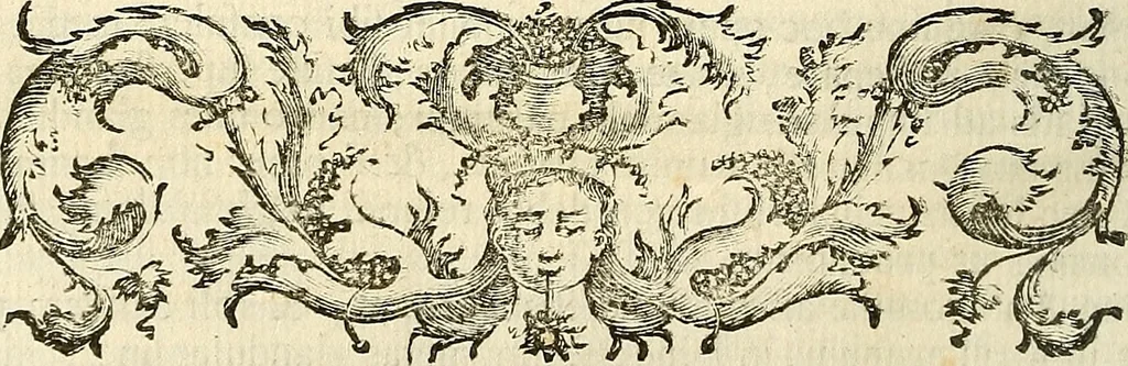 An illustration from Oculorum, et mentis vigiliae ad distinguendum studium anatomicum, et ad praxin medicam dirigendam : accedit Mantissa subsidiaria de vi indicationis à parte, et de usu microscopii, 1704, leaf 207