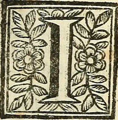 An illustration from Oculorum, et mentis vigiliae ad distinguendum studium anatomicum, et ad praxin medicam dirigendam : accedit Mantissa subsidiaria de vi indicationis à parte, et de usu microscopii, 1704, leaf 208