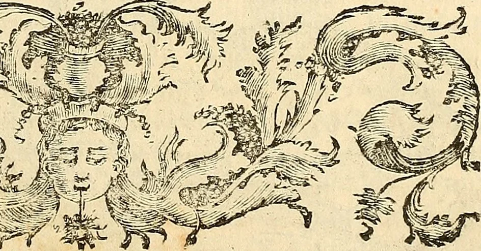An illustration from Oculorum, et mentis vigiliae ad distinguendum studium anatomicum, et ad praxin medicam dirigendam : accedit Mantissa subsidiaria de vi indicationis à parte, et de usu microscopii, 1704, leaf 254