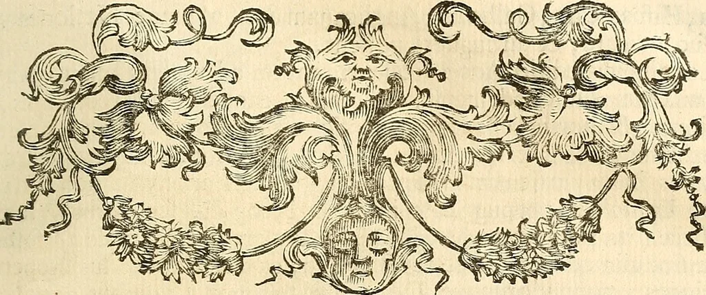 An illustration from Oculorum, et mentis vigiliae ad distinguendum studium anatomicum, et ad praxin medicam dirigendam : accedit Mantissa subsidiaria de vi indicationis à parte, et de usu microscopii, 1704, leaf 256