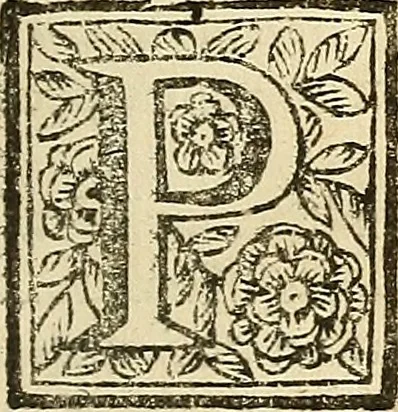 An illustration from Oculorum, et mentis vigiliae ad distinguendum studium anatomicum, et ad praxin medicam dirigendam : accedit Mantissa subsidiaria de vi indicationis à parte, et de usu microscopii, 1704, leaf 256