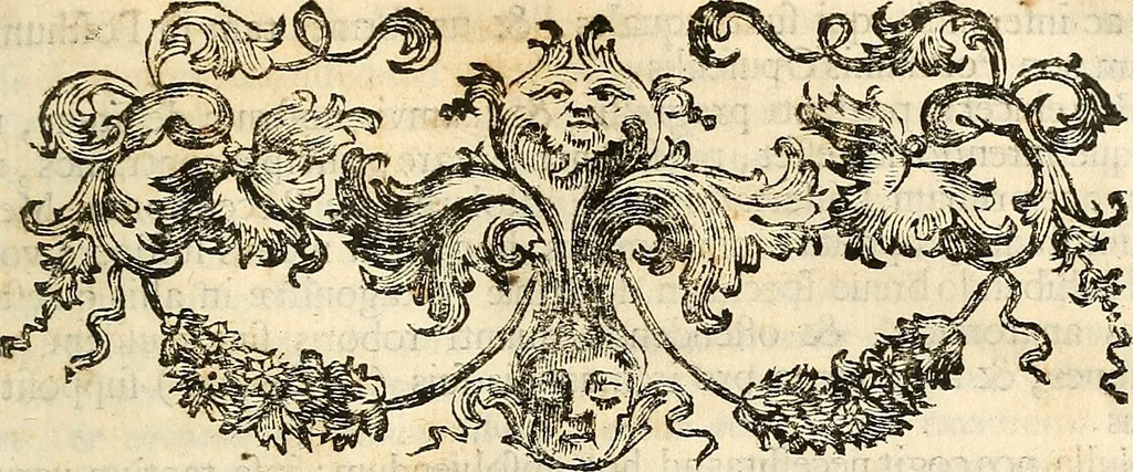 An illustration from Oculorum, et mentis vigiliae ad distinguendum studium anatomicum, et ad praxin medicam dirigendam : accedit Mantissa subsidiaria de vi indicationis à parte, et de usu microscopii, 1704, leaf 54