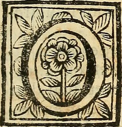 An illustration from Oculorum, et mentis vigiliae ad distinguendum studium anatomicum, et ad praxin medicam dirigendam : accedit Mantissa subsidiaria de vi indicationis à parte, et de usu microscopii, 1704, leaf 54