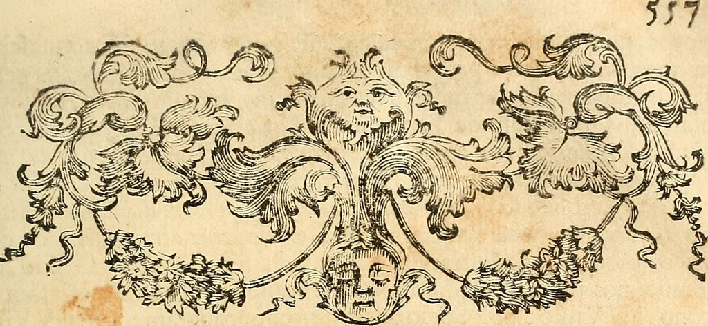 An illustration from Oculorum, et mentis vigiliae ad distinguendum studium anatomicum, et ad praxin medicam dirigendam : accedit Mantissa subsidiaria de vi indicationis à parte, et de usu microscopii, 1704, leaf 610