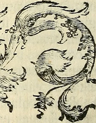 An illustration from Oculorum, et mentis vigiliae ad distinguendum studium anatomicum, et ad praxin medicam dirigendam : accedit Mantissa subsidiaria de vi indicationis à parte, et de usu microscopii, 1704, leaf 649