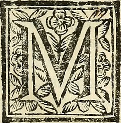 An illustration from Oculorum, et mentis vigiliae ad distinguendum studium anatomicum, et ad praxin medicam dirigendam : accedit Mantissa subsidiaria de vi indicationis à parte, et de usu microscopii, 1704, leaf 650