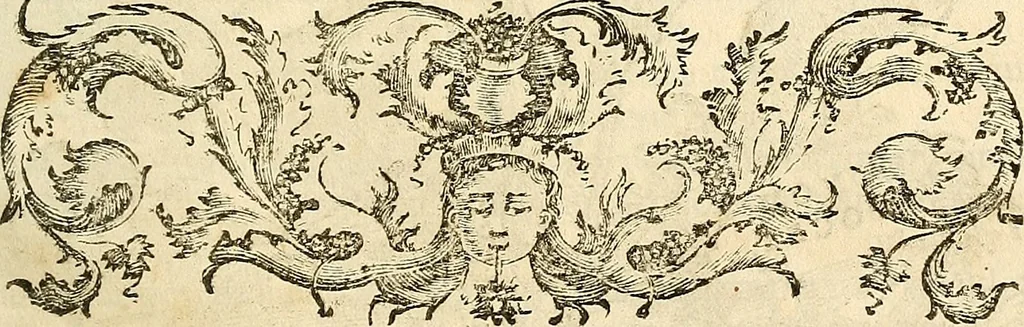 An illustration from Oculorum, et mentis vigiliae ad distinguendum studium anatomicum, et ad praxin medicam dirigendam : accedit Mantissa subsidiaria de vi indicationis à parte, et de usu microscopii, 1704, leaf 696