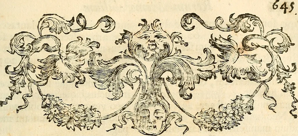 An illustration from Oculorum, et mentis vigiliae ad distinguendum studium anatomicum, et ad praxin medicam dirigendam : accedit Mantissa subsidiaria de vi indicationis à parte, et de usu microscopii, 1704, leaf 698
