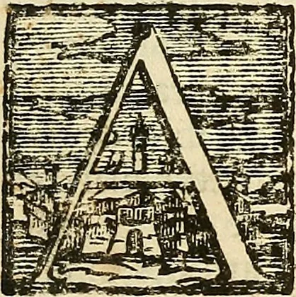 An illustration from Oculorum, et mentis vigiliae ad distinguendum studium anatomicum, et ad praxin medicam dirigendam : accedit Mantissa subsidiaria de vi indicationis à parte, et de usu microscopii, 1704, leaf 698