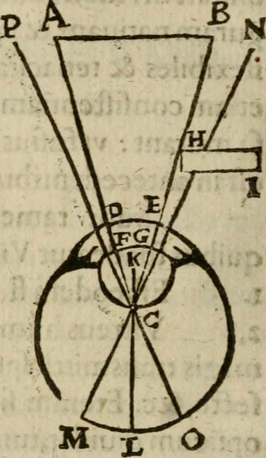 An illustration from Oculus hoc est : fundamentum opticum in quo ex accurata oculi anatome, abstrusarum experientiarum sedula pervestigatione, ex inuisis specierum visibilium tam euerso quam erecto situ spectaculis, necnon solidis rationum momentis radius visualis eruitur sua visioni in oculo sedes decernitur, angvli visorii ingenium aperitur ..., 1619, leaf 115