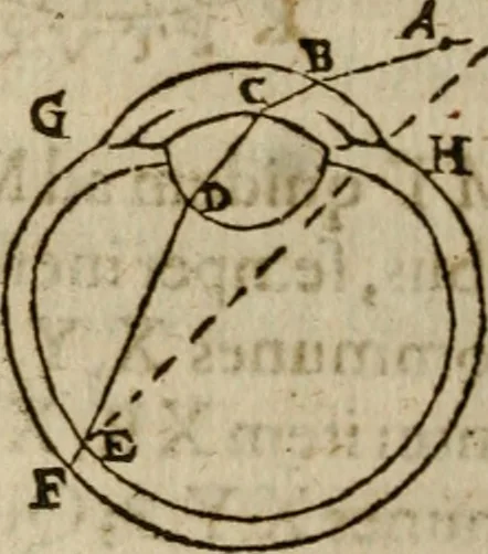 An illustration from Oculus hoc est : fundamentum opticum in quo ex accurata oculi anatome, abstrusarum experientiarum sedula pervestigatione, ex inuisis specierum visibilium tam euerso quam erecto situ spectaculis, necnon solidis rationum momentis radius visualis eruitur sua visioni in oculo sedes decernitur, angvli visorii ingenium aperitur ..., 1619, leaf 131