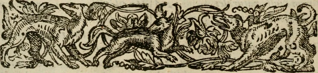 An illustration from Oculus hoc est : fundamentum opticum in quo ex accurata oculi anatome, abstrusarum experientiarum sedula pervestigatione, ex inuisis specierum visibilium tam euerso quam erecto situ spectaculis, necnon solidis rationum momentis radius visualis eruitur sua visioni in oculo sedes decernitur, angvli visorii ingenium aperitur ..., 1619, leaf 15