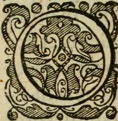 An illustration from Oculus hoc est : fundamentum opticum in quo ex accurata oculi anatome, abstrusarum experientiarum sedula pervestigatione, ex inuisis specierum visibilium tam euerso quam erecto situ spectaculis, necnon solidis rationum momentis radius visualis eruitur sua visioni in oculo sedes decernitur, angvli visorii ingenium aperitur ..., 1619, leaf 16