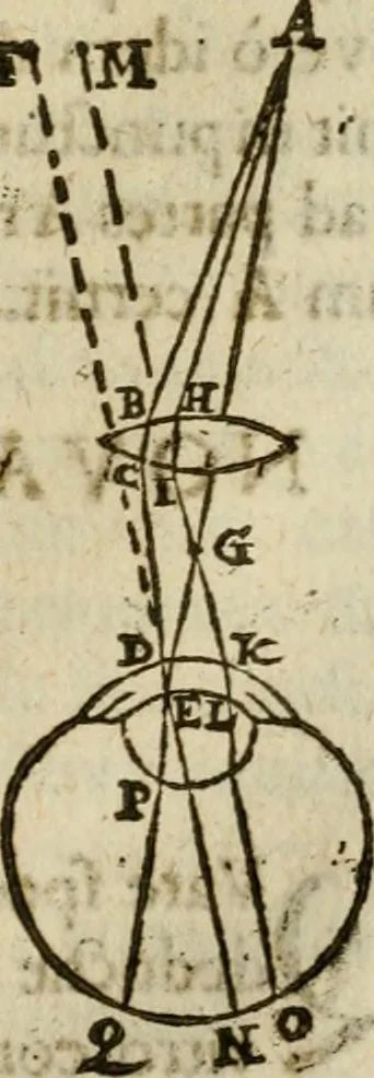 An illustration from Oculus hoc est : fundamentum opticum in quo ex accurata oculi anatome, abstrusarum experientiarum sedula pervestigatione, ex inuisis specierum visibilium tam euerso quam erecto situ spectaculis, necnon solidis rationum momentis radius visualis eruitur sua visioni in oculo sedes decernitur, angvli visorii ingenium aperitur ..., 1619, leaf 230
