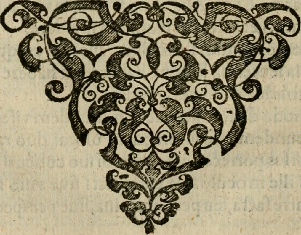 An illustration from Oculus hoc est : fundamentum opticum in quo ex accurata oculi anatome, abstrusarum experientiarum sedula pervestigatione, ex inuisis specierum visibilium tam euerso quam erecto situ spectaculis, necnon solidis rationum momentis radius visualis eruitur sua visioni in oculo sedes decernitur, angvli visorii ingenium aperitur ..., 1619, leaf 241