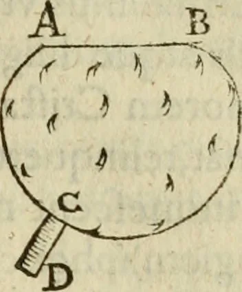 An illustration from Oculus hoc est : fundamentum opticum in quo ex accurata oculi anatome, abstrusarum experientiarum sedula pervestigatione, ex inuisis specierum visibilium tam euerso quam erecto situ spectaculis, necnon solidis rationum momentis radius visualis eruitur sua visioni in oculo sedes decernitur, angvli visorii ingenium aperitur ..., 1619, leaf 26