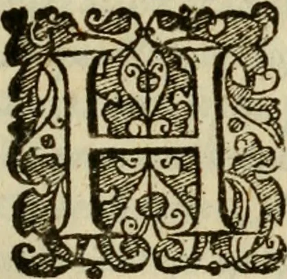An illustration from Oculus hoc est : fundamentum opticum in quo ex accurata oculi anatome, abstrusarum experientiarum sedula pervestigatione, ex inuisis specierum visibilium tam euerso quam erecto situ spectaculis, necnon solidis rationum momentis radius visualis eruitur sua visioni in oculo sedes decernitur, angvli visorii ingenium aperitur ..., 1619, leaf 266