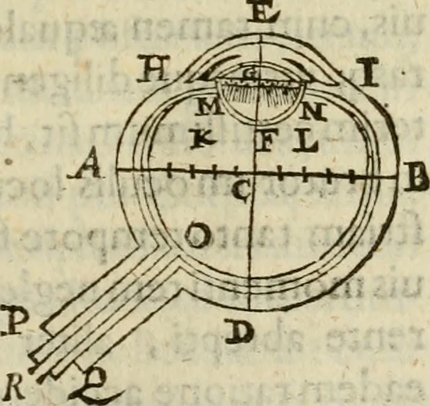 An illustration from Oculus hoc est : fundamentum opticum in quo ex accurata oculi anatome, abstrusarum experientiarum sedula pervestigatione, ex inuisis specierum visibilium tam euerso quam erecto situ spectaculis, necnon solidis rationum momentis radius visualis eruitur sua visioni in oculo sedes decernitur, angvli visorii ingenium aperitur ..., 1619, leaf 34