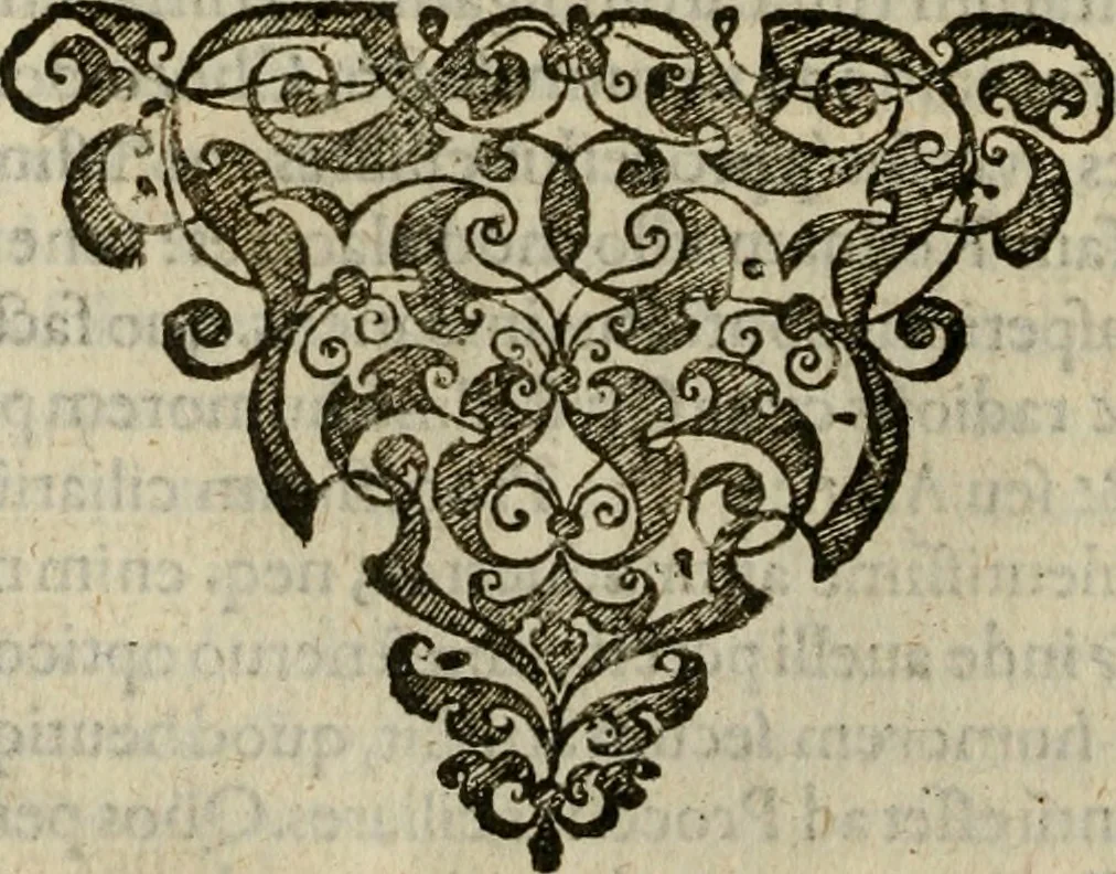 An illustration from Oculus hoc est : fundamentum opticum in quo ex accurata oculi anatome, abstrusarum experientiarum sedula pervestigatione, ex inuisis specierum visibilium tam euerso quam erecto situ spectaculis, necnon solidis rationum momentis radius visualis eruitur sua visioni in oculo sedes decernitur, angvli visorii ingenium aperitur ..., 1619, leaf 45