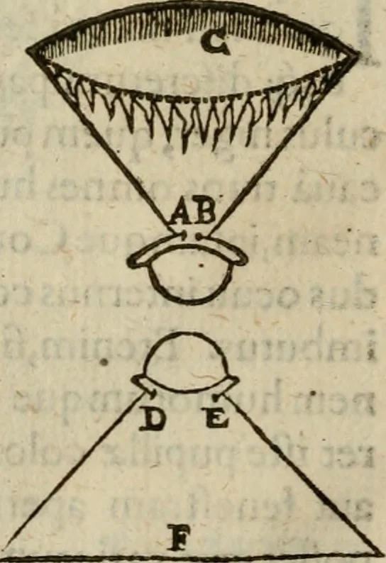 An illustration from Oculus hoc est : fundamentum opticum in quo ex accurata oculi anatome, abstrusarum experientiarum sedula pervestigatione, ex inuisis specierum visibilium tam euerso quam erecto situ spectaculis, necnon solidis rationum momentis radius visualis eruitur sua visioni in oculo sedes decernitur, angvli visorii ingenium aperitur ..., 1619, leaf 47