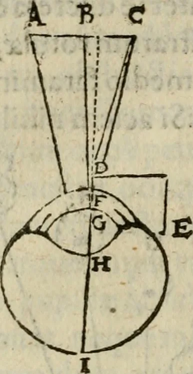 An illustration from Oculus hoc est : fundamentum opticum in quo ex accurata oculi anatome, abstrusarum experientiarum sedula pervestigatione, ex inuisis specierum visibilium tam euerso quam erecto situ spectaculis, necnon solidis rationum momentis radius visualis eruitur sua visioni in oculo sedes decernitur, angvli visorii ingenium aperitur ..., 1619, leaf 67
