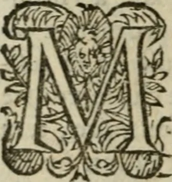 An illustration from Oeuures morales et diuersifiees en histoires, pleines de beaux exemples, enrichies d'enseignemens vertueux, & embellies de plusieurs sentences & discours. Lé tout tiré des plus signalez & remarquables autheurs grecs, latins & françois, qui ont escrit de tout temps, pour l'enseignement de toutes personnes, qui aspirent à vertu & philosphie chrestienne. Reueues, corrigées & augmentées de plus des deux tiers, outre la precedente impression, 1584, leaf 1085