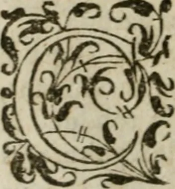 An illustration from Oeuures morales et diuersifiees en histoires, pleines de beaux exemples, enrichies d'enseignemens vertueux, & embellies de plusieurs sentences & discours. Lé tout tiré des plus signalez & remarquables autheurs grecs, latins & françois, qui ont escrit de tout temps, pour l'enseignement de toutes personnes, qui aspirent à vertu & philosphie chrestienne. Reueues, corrigées & augmentées de plus des deux tiers, outre la precedente impression, 1584, leaf 1261