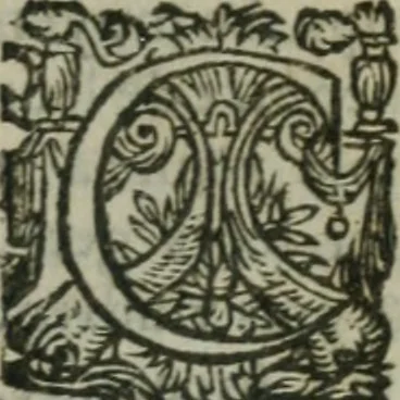 An illustration from Oeuures morales et diuersifiees en histoires, pleines de beaux exemples, enrichies d'enseignemens vertueux, & embellies de plusieurs sentences & discours. Lé tout tiré des plus signalez & remarquables autheurs grecs, latins & françois, qui ont escrit de tout temps, pour l'enseignement de toutes personnes, qui aspirent à vertu & philosphie chrestienne. Reueues, corrigées & augmentées de plus des deux tiers, outre la precedente impression, 1584, leaf 1262