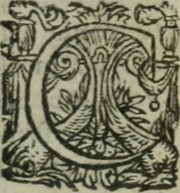 An illustration from Oeuures morales et diuersifiees en histoires, pleines de beaux exemples, enrichies d'enseignemens vertueux, & embellies de plusieurs sentences & discours. Lé tout tiré des plus signalez & remarquables autheurs grecs, latins & françois, qui ont escrit de tout temps, pour l'enseignement de toutes personnes, qui aspirent à vertu & philosphie chrestienne. Reueues, corrigées & augmentées de plus des deux tiers, outre la precedente impression, 1584, leaf 174
