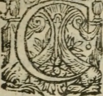 An illustration from Oeuures morales et diuersifiees en histoires, pleines de beaux exemples, enrichies d'enseignemens vertueux, & embellies de plusieurs sentences & discours. Lé tout tiré des plus signalez & remarquables autheurs grecs, latins & françois, qui ont escrit de tout temps, pour l'enseignement de toutes personnes, qui aspirent à vertu & philosphie chrestienne. Reueues, corrigées & augmentées de plus des deux tiers, outre la precedente impression, 1584, leaf 235