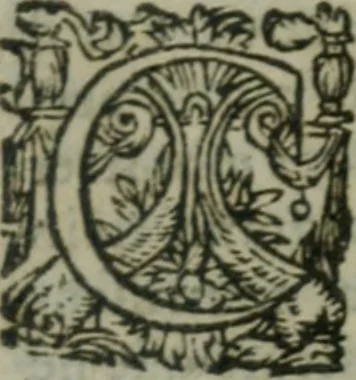 An illustration from Oeuures morales et diuersifiees en histoires, pleines de beaux exemples, enrichies d'enseignemens vertueux, & embellies de plusieurs sentences & discours. Lé tout tiré des plus signalez & remarquables autheurs grecs, latins & françois, qui ont escrit de tout temps, pour l'enseignement de toutes personnes, qui aspirent à vertu & philosphie chrestienne. Reueues, corrigées & augmentées de plus des deux tiers, outre la precedente impression, 1584, leaf 252