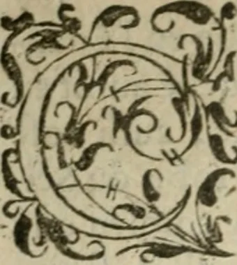 An illustration from Oeuures morales et diuersifiees en histoires, pleines de beaux exemples, enrichies d'enseignemens vertueux, & embellies de plusieurs sentences & discours. Lé tout tiré des plus signalez & remarquables autheurs grecs, latins & françois, qui ont escrit de tout temps, pour l'enseignement de toutes personnes, qui aspirent à vertu & philosphie chrestienne. Reueues, corrigées & augmentées de plus des deux tiers, outre la precedente impression, 1584, leaf 401
