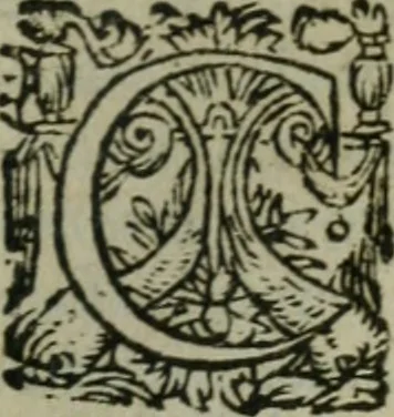 An illustration from Oeuures morales et diuersifiees en histoires, pleines de beaux exemples, enrichies d'enseignemens vertueux, & embellies de plusieurs sentences & discours. Lé tout tiré des plus signalez & remarquables autheurs grecs, latins & françois, qui ont escrit de tout temps, pour l'enseignement de toutes personnes, qui aspirent à vertu & philosphie chrestienne. Reueues, corrigées & augmentées de plus des deux tiers, outre la precedente impression, 1584, leaf 420