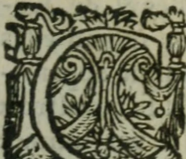 An illustration from Oeuures morales et diuersifiees en histoires, pleines de beaux exemples, enrichies d'enseignemens vertueux, & embellies de plusieurs sentences & discours. Lé tout tiré des plus signalez & remarquables autheurs grecs, latins & françois, qui ont escrit de tout temps, pour l'enseignement de toutes personnes, qui aspirent à vertu & philosphie chrestienne. Reueues, corrigées & augmentées de plus des deux tiers, outre la precedente impression, 1584, leaf 700