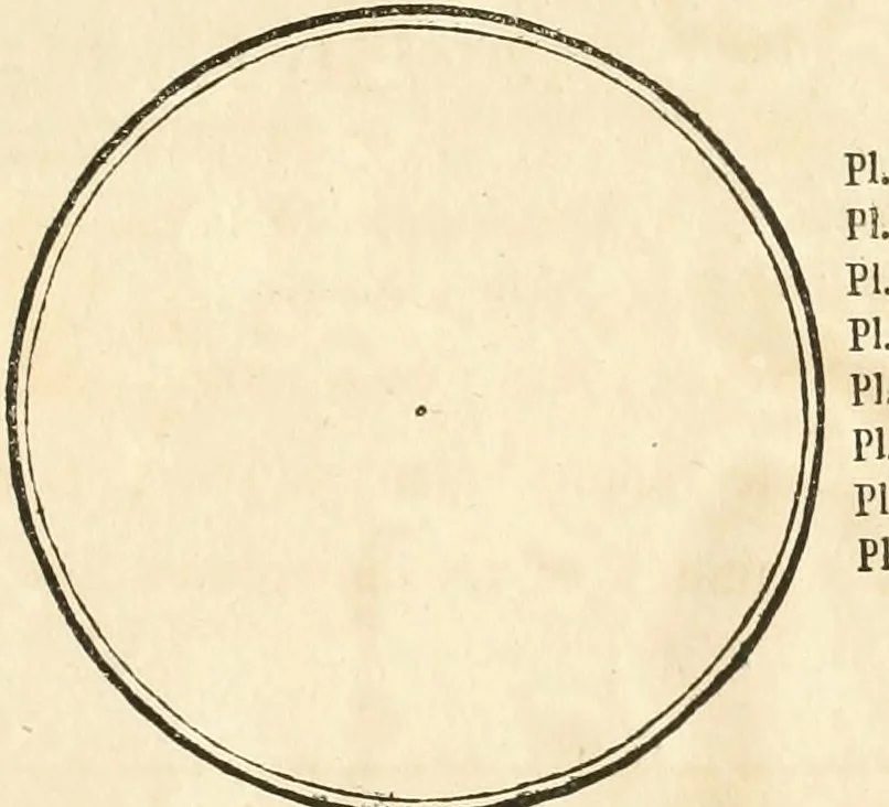 An illustration from Oeuvre du chevalier Hedlinger, ou, Recueil des medailles de ce celebre artiste, gravées en taille douce, accompagnées d'une explication historique et critique, et précédées de la vie de l'auteur, 1778, leaf 202