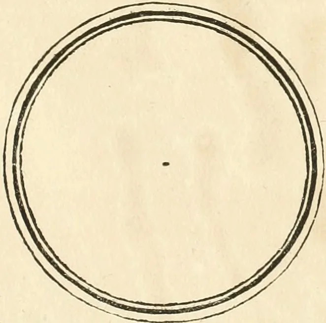 An illustration from Oeuvre du chevalier Hedlinger, ou, Recueil des medailles de ce celebre artiste, gravées en taille douce, accompagnées d'une explication historique et critique, et précédées de la vie de l'auteur, 1778, leaf 202