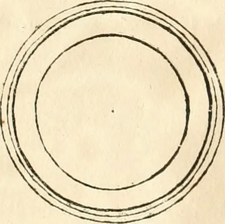 An illustration from Oeuvre du chevalier Hedlinger, ou, Recueil des medailles de ce celebre artiste, gravées en taille douce, accompagnées d'une explication historique et critique, et précédées de la vie de l'auteur, 1778, leaf 203