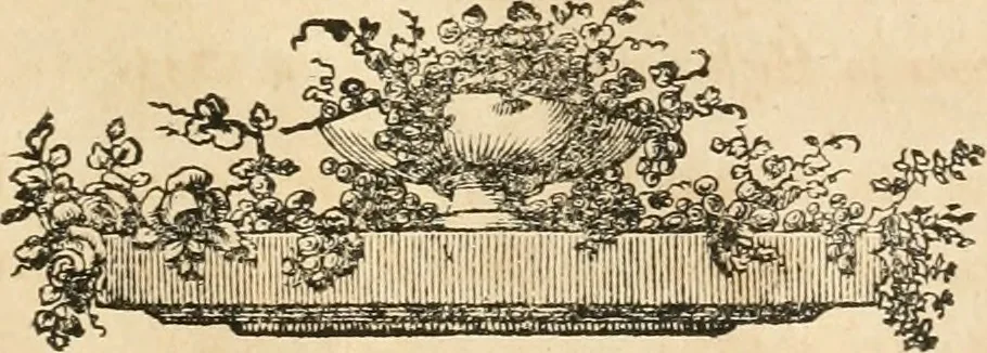 An illustration from Oeuvre du chevalier Hedlinger, ou, Recueil des medailles de ce celebre artiste, gravées en taille douce, accompagnées d'une explication historique et critique, et précédées de la vie de l'auteur, 1778, leaf 226