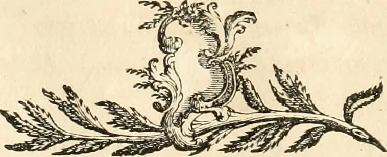 An illustration from Oeuvre du chevalier Hedlinger, ou, Recueil des medailles de ce celebre artiste, gravées en taille douce, accompagnées d'une explication historique et critique, et précédées de la vie de l'auteur, 1778, leaf 255