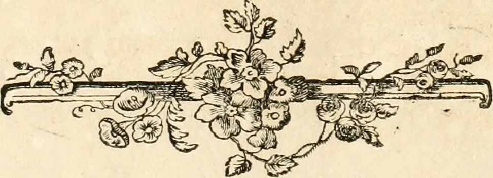 An illustration from Oeuvre du chevalier Hedlinger, ou, Recueil des medailles de ce celebre artiste, gravées en taille douce, accompagnées d'une explication historique et critique, et précédées de la vie de l'auteur, 1778, leaf 261