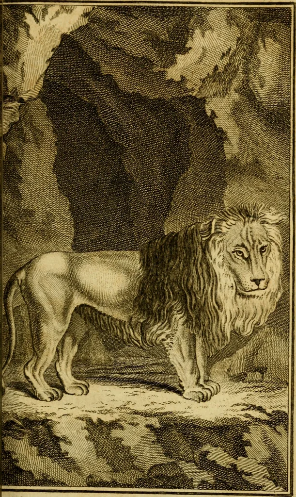 An illustration from Œuvres complètes de M. le C[om]te de Buffon ... : histoire des animaux quadrupèdes, 1775, leaf 148
