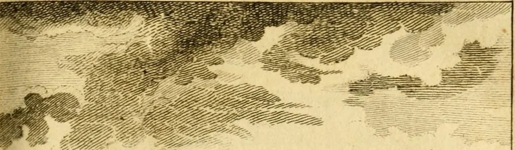 An illustration from Œuvres complètes de M. le C[om]te de Buffon ... : histoire des animaux quadrupèdes, 1775, leaf 212