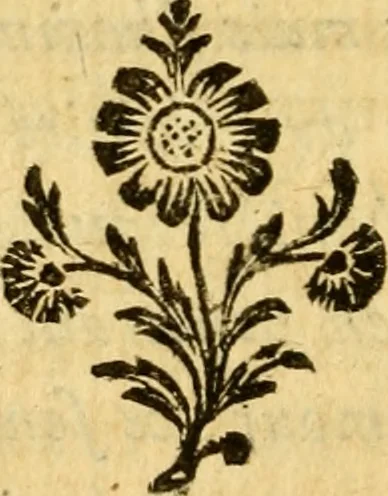 An illustration from Œuvres complètes de M. le C[om]te de Buffon ... : histoire des animaux quadrupèdes, 1775, leaf 31