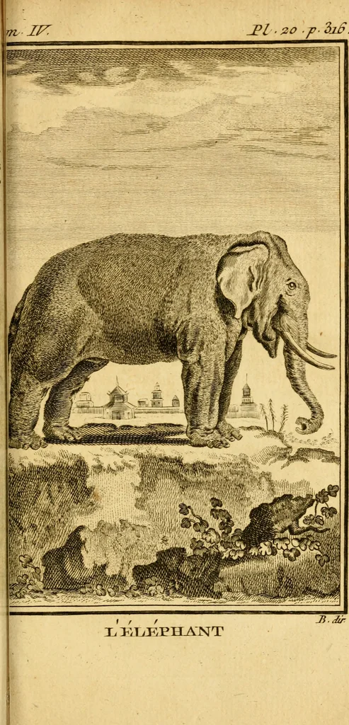 An illustration from Œuvres complètes de M. le C[om]te de Buffon ... : histoire des animaux quadrupèdes, 1775, leaf 414