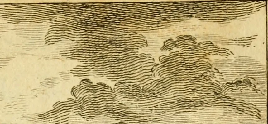 An illustration from Œuvres complètes de M. le C[om]te de Buffon ... : histoire des animaux quadrupèdes, 1775, leaf 446