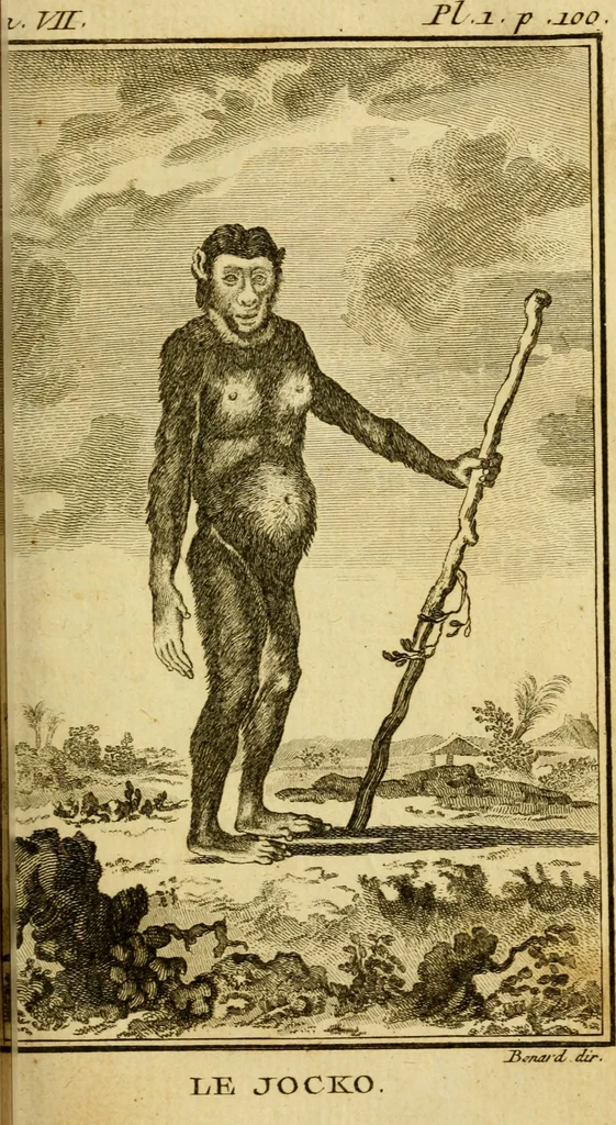 An illustration from Œuvres complètes de M. le C[om]te de Buffon ... : histoire des animaux quadrupèdes, 1775, leaf 110