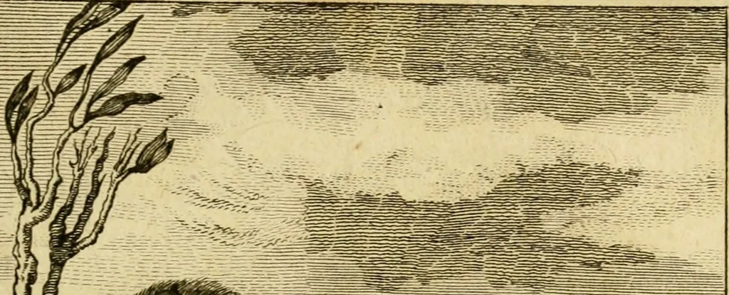 An illustration from Œuvres complètes de M. le C[om]te de Buffon ... : histoire des animaux quadrupèdes, 1775, leaf 162
