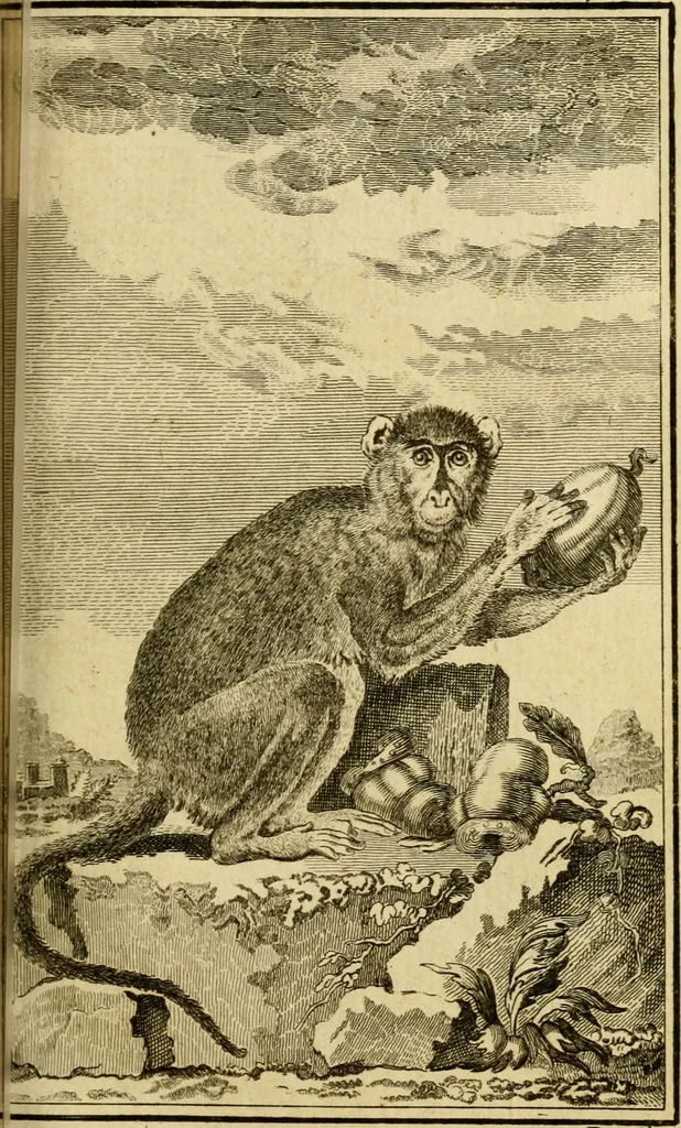 An illustration from Œuvres complètes de M. le C[om]te de Buffon ... : histoire des animaux quadrupèdes, 1775, leaf 192