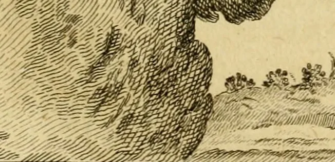 An illustration from Œuvres complètes de M. le C[om]te de Buffon ... : histoire des animaux quadrupèdes, 1775, leaf 370