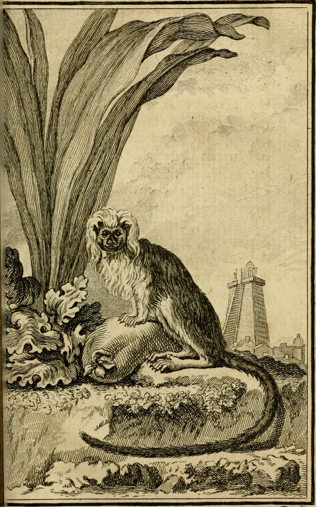 An illustration from Œuvres complètes de M. le C[om]te de Buffon ... : histoire des animaux quadrupèdes, 1775, leaf 420